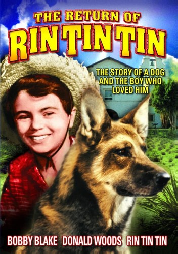 Return rin tin dvd - rin, (dvd