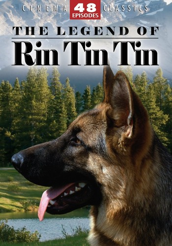 The legend rin - of, tin