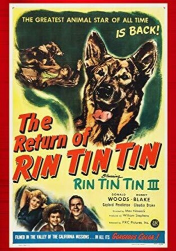 Dvd the return rin tin - dvd,